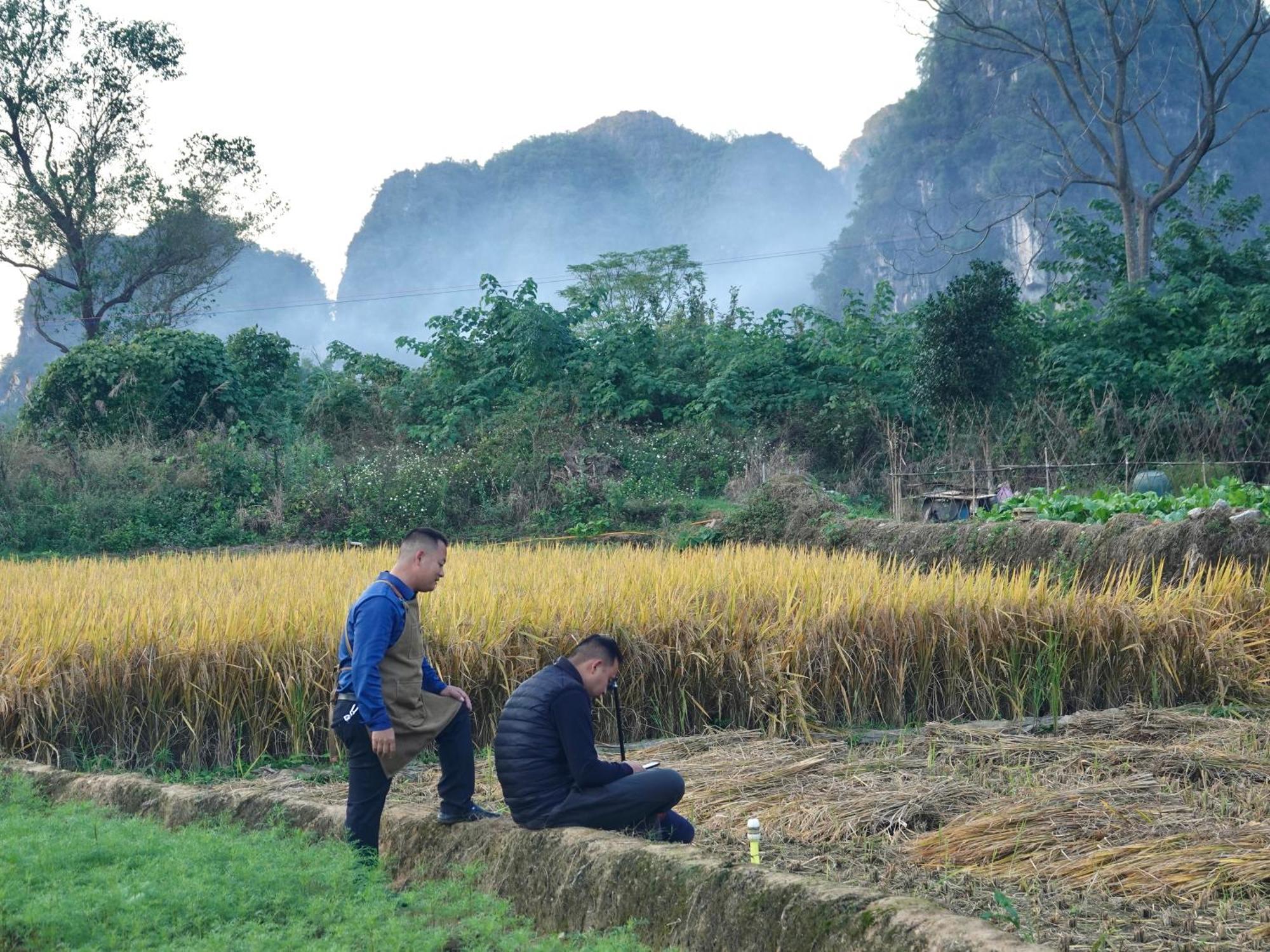 Yangshuo Xiao Long River Hotel 외부 사진